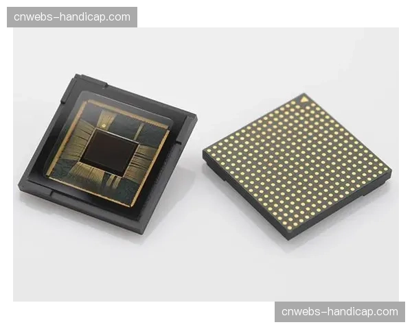 供应链调查：为德甲提供高性能摄像机和传感器的主要供应商及其竞争格局