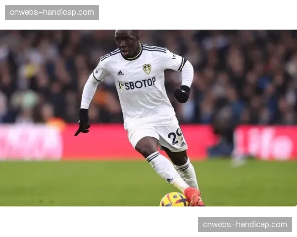 官方宣布：蒙彼利埃从巴甲弗拉门戈租借引进边锋埃弗顿至赛季末